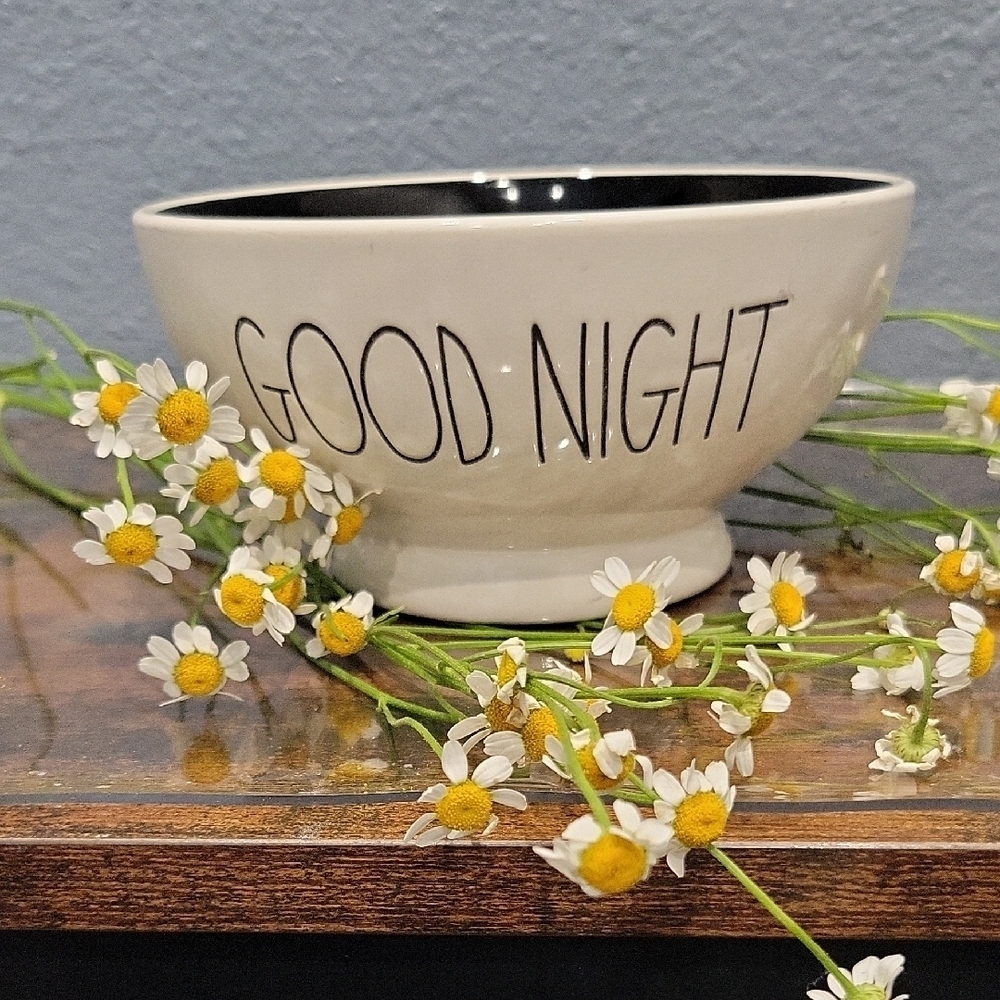 Rae Dunn Cream Ceramic Bowl with 'Good Night' Text